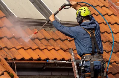 Démoussage et hydrofuge de toiture à Pommevic